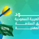 جهود المملكة العربية السعودية في تحقيق السلامة والصحة المهنية 2 جهود المملكة العربية السعودية في تحقيق السلامة والصحة المهنية